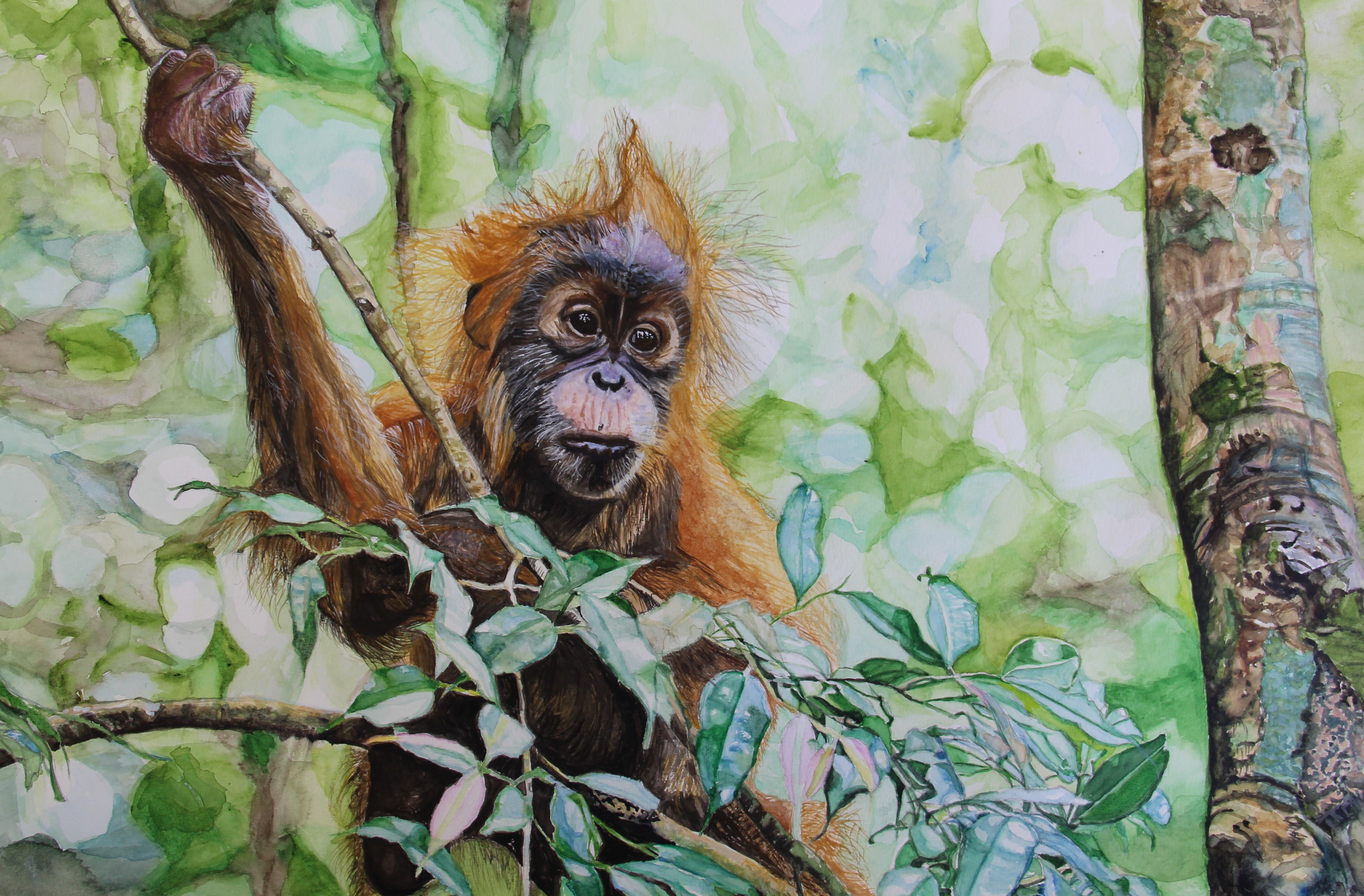 水彩・アクリル画