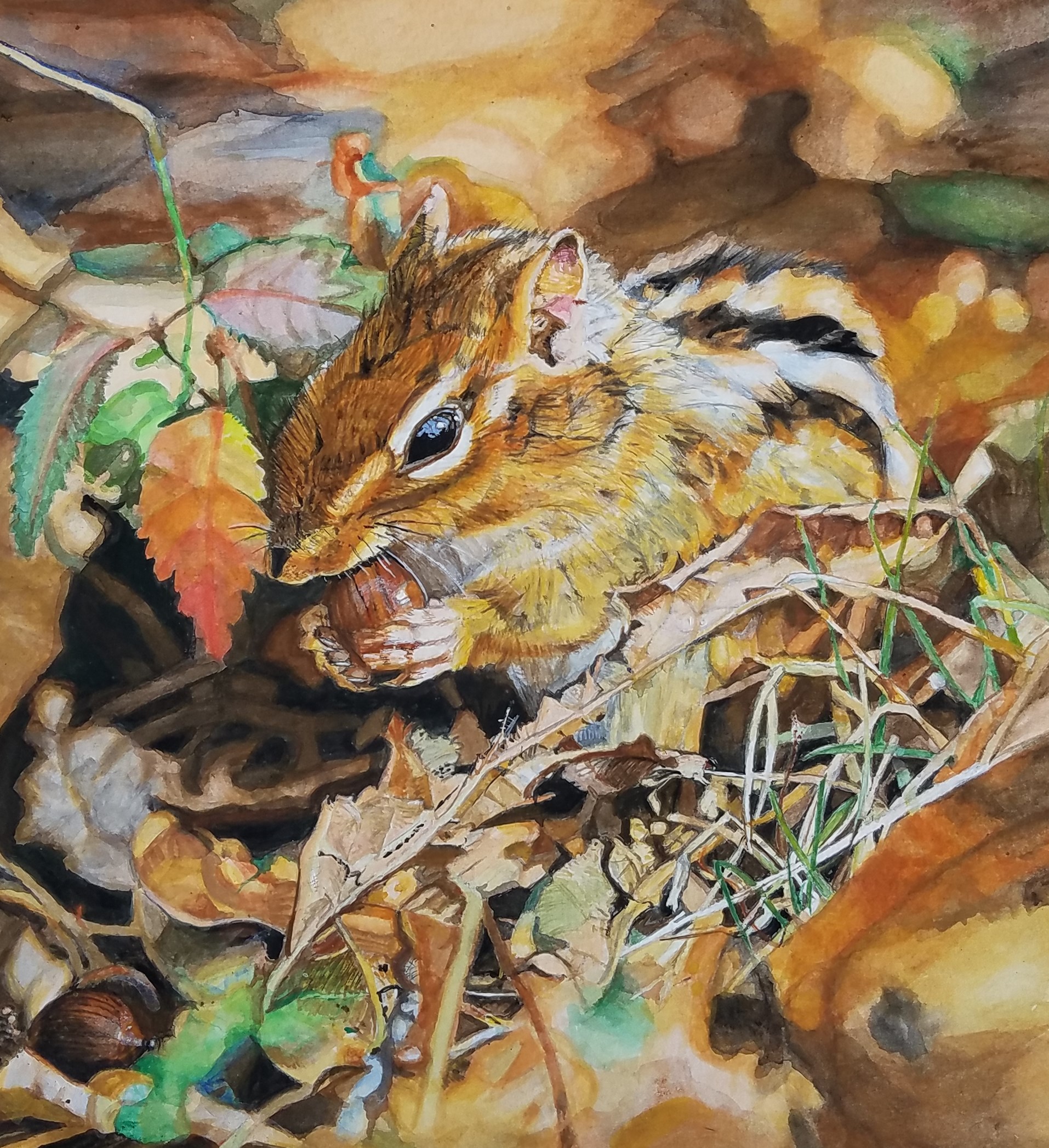 水彩画（アクリル・色鉛筆も使用）