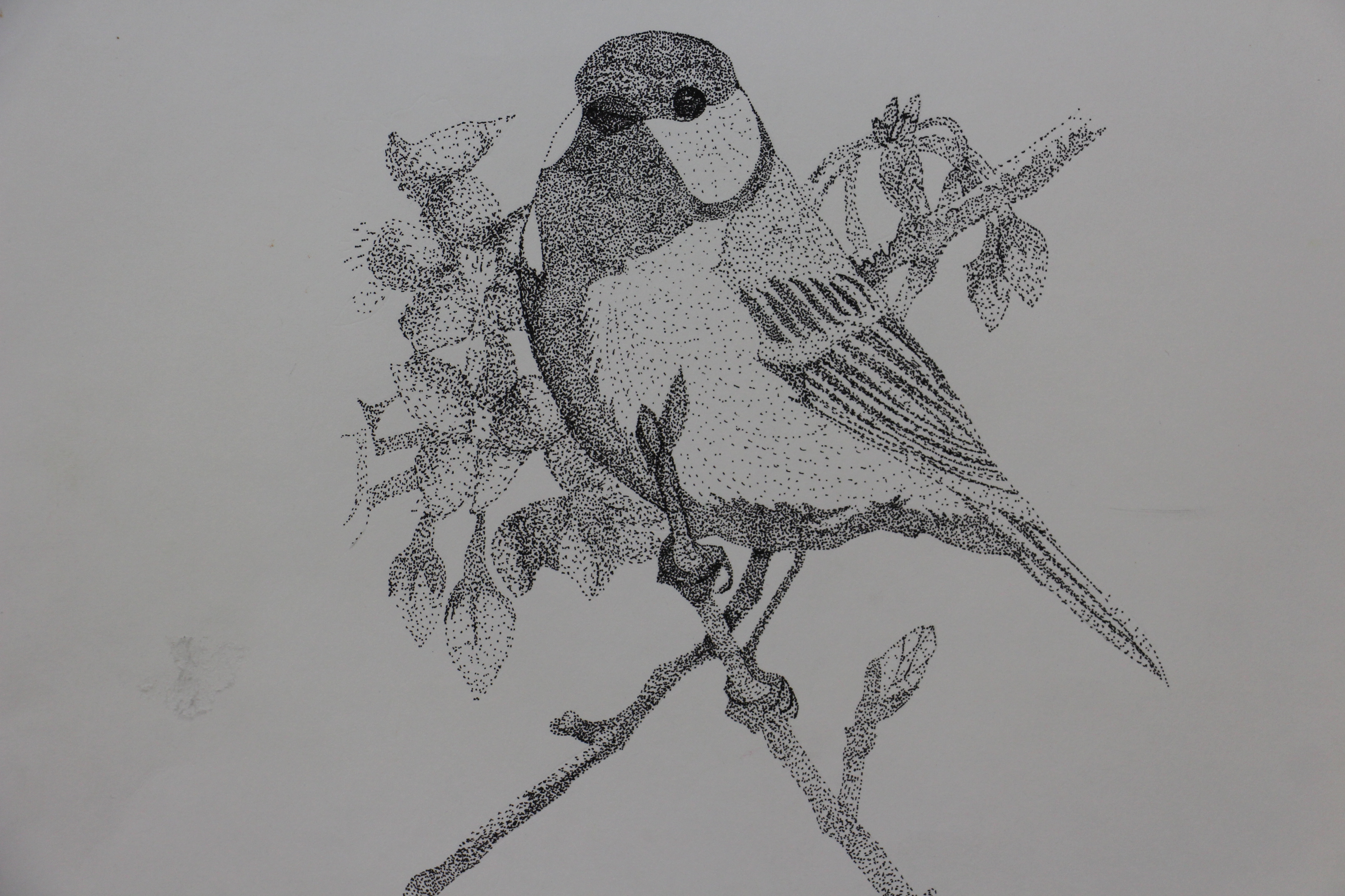 点描画（６年生）