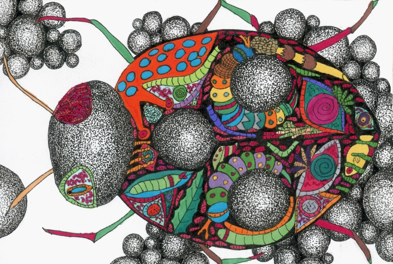 第１４回　全国ポストカードデザイン大賞　　　　　（中・高校生の部　準大賞）